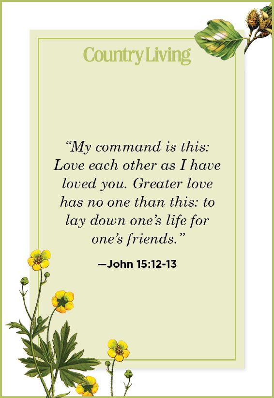 catholic-bible-quotes-about-friendship