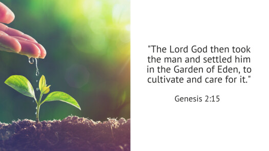 catholic-social-teaching-bible-quotes