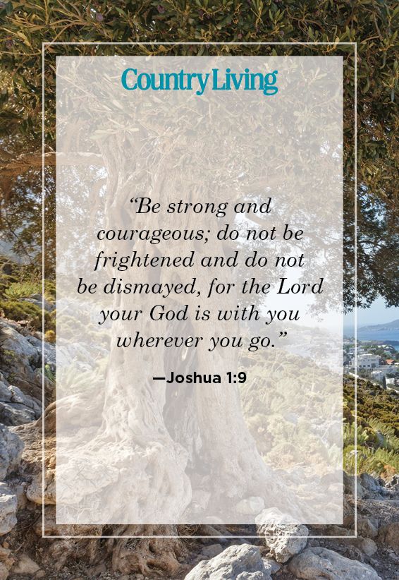 you-are-strong-bible-quotes